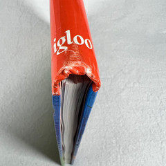 Igloo How to Draw Everything Step-by-Step Guide Art Book Spiral Bound 2005