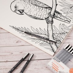 Micro Fineliner Pens, Black Drawing Art Pens,12 Archival Pen Waterproof Ink S…