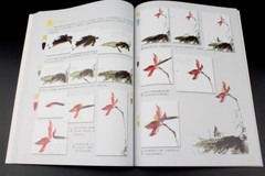 poultry Birds Book Self-Study Chinese Brush Painting Sumi-e Technique How Draw