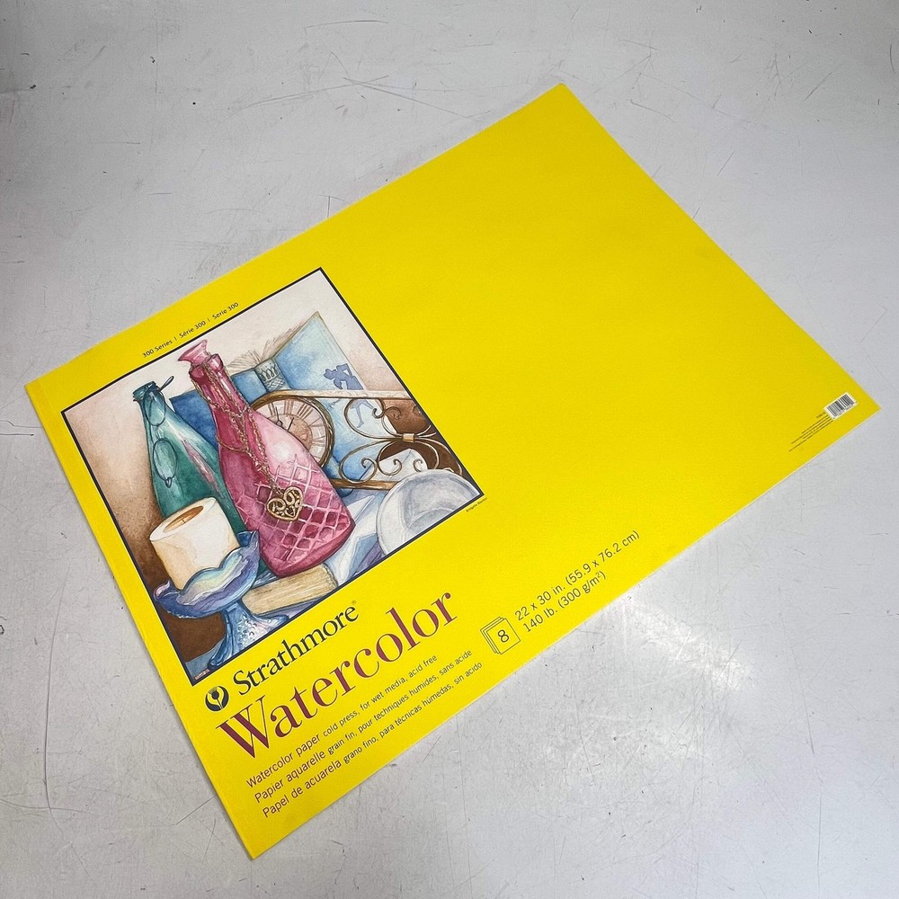 STARTHMORE (8 SHEETS) 300 Series Watercolor Paper 22″x30″ White 10720743