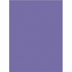 Tru-ray Construction Paper – 12″ X 9″ – Violet (PAC103009)