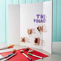 4 Pcs Tri-fold Poster Boards 48 x 36 inches, Premium Corrugated Presentation …