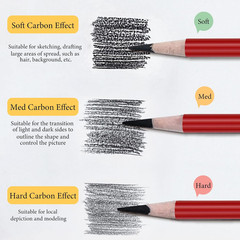 Professional Charcoal Pencils Drawing Set -12 Pieces Soft, Medium Hard Charcoal
