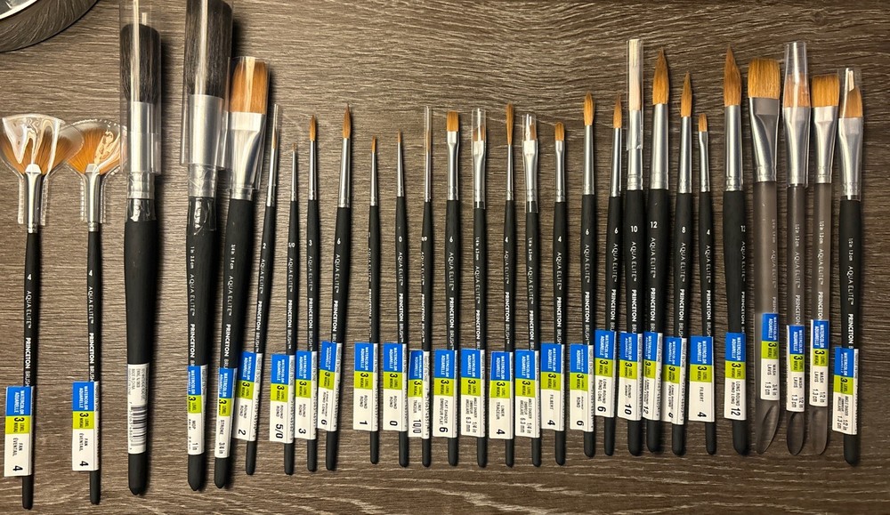 Aqua Elite Princeton Watercolor brushes lot of 28 quality brushes C35