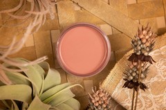 Desert Rose | Silk All-In-One Mineral Paint | Dixie Belle Paint