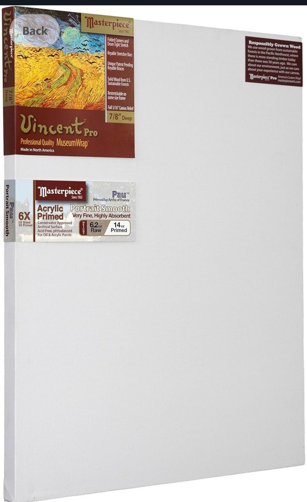 MASTERPIECE Vincent 7/8″ Deep Monterey 10.5 oz Cotton 21 x 27 2 pack