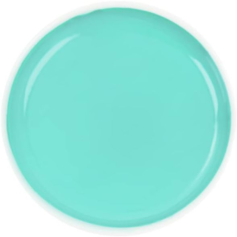 Sumi-E Watercolor Paint in Porcelain Dish, Pearl Green, WC216-5