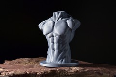 Planar Head, with Male & Female Torso — Art Reference Collection