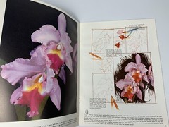 Foster Publication How To Painting Books Lot: Modern Art, Landscape, Flowers