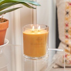 Glasshouse Fragrances A Tahaa Affair Candle, Triple Scented 380g, Green