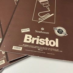 Bristol Strathmore 400 Series Large 18 X 24 Sheets 13 Count