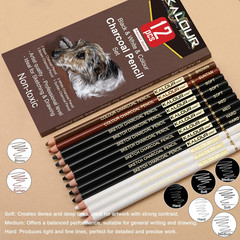 Colored Charcoal Drawing Set, 12 Pastel Chalk Pencils for Sketching and Shading