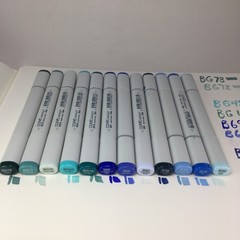 12 Copic Sketch Markers (BG) 78, 72, 70, 45, 18 & (B) 69, 66, 60, 39, 34, 24, 00