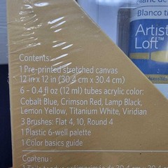 Artist’s Loft Painting Kit 12×12 Canvas Kittens Acrylic Brushes Palette 12pc