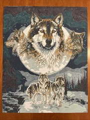 Paint By Numbers Wolf Spirit Of Freedom/ Dream Catcher Complete 20×16”