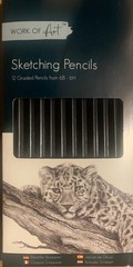Sketching Pencils 12 Graded Art Drawing Pencils Soft & Hard Shades 2H-8B Shade