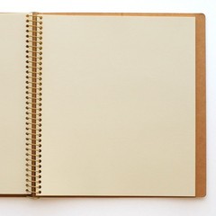 Maruman Sketchbook Croquis Diary SQ Size CD50