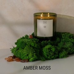 Craft & Kin 12oz Amber Moss Candle for Home | Premium Green Spring