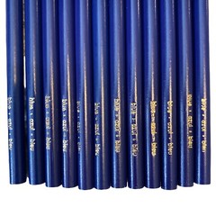 New Crayola Colored Pencils 12 Count Blue