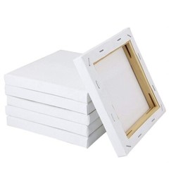 12 Pack Stretched Canvas for Painting Blank Art Cotton Canvases for Acrylic Oil