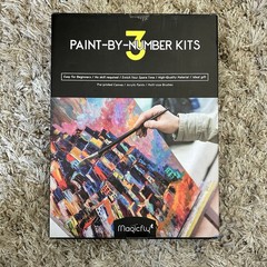 Paint By Number Kit Set Of 3 From Magicfly
