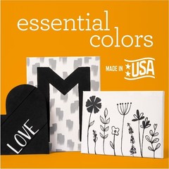 Matte Black Acrylic Craft Paint for Artists and DIY Projects One Gallon