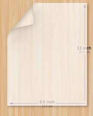 Translucent Vellum Paper, 68LBS 8.5 X 11 Inches Printable Vellums for Card Over