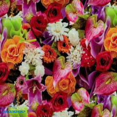 HD-F1208 Potpourri (50 cm)