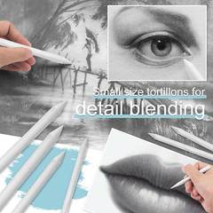 20Pcs Blending Stumps for Drawing, Tortillions Blending Sticks for Beginner Draw