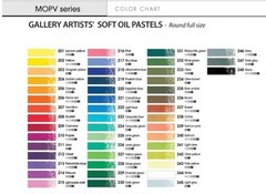 Professional Soft Oil Pastels Set, 48 Vibrant Assorted Colors for Artists