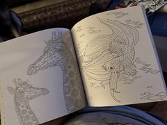 Lot of 2 Advanced Coloring Books – Chris Garver Animal Odyssey & Graffiti Art