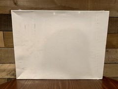 SPEEDBALL ART PRODUCTS 045061 BEGINNER SCREEN PRINT PAPER STENCIL KIT (NEW)