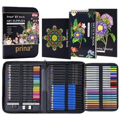 PRINA 81 Drawing Set Sketching Kit, Pro 1 Count (Pack of 81), Multicolor