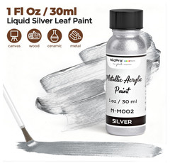 Metallic Silver Acrylic Paint and Gloss Varnish Kit Craft DIY Art Set 2 Bottle