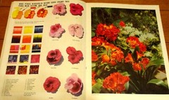How To Draw and Paint Seascapes -Birds-Flowers-Still Life-Portrait + 5 Magazines