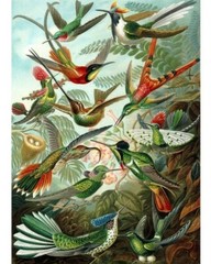 USA – DIY Paint by Number Kit Acrylic Painting Home Decor – Hummingbirds