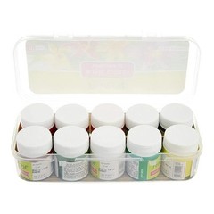 Pidilite Fevicryl Acrylic Paint 10 Colors Set Free Shipping to US