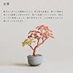 Japanese Style Beaded Bonsai Miniature Craft Kit Complete 6 Set DIY Japan