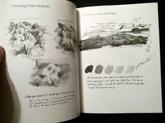 First Steps Series Sketching and Drawing by Cathy Johnson (1995, Softcover)