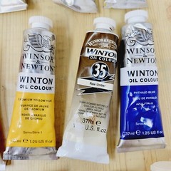 Lot of 19 1.25 Oz Winsor & Newton Winton Oil Paint