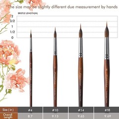 4Pcs Extra Long Needle Point Watercolor Brushes for Fine Detailing Painting