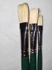 Winsor Newton Winton Hog Hair Brush Set Flat Round Fibert