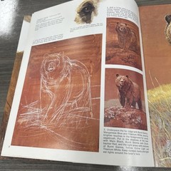 Vintage Grumbacher Library Booklet The Art of Painting Wild Animals B414 1975