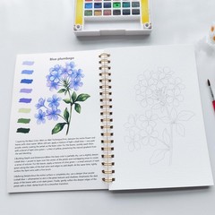 Watercolor Workbook 15 Beautiful Flowers Paintings for Adults &Teens Beginner…