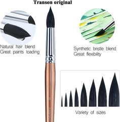 Professional Goat Hair Brush Set