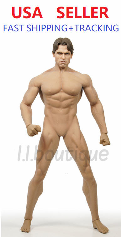 TBLeague Phicen M34 Seamless Male Muscular Body W/ Arnold Schwarzenegger head