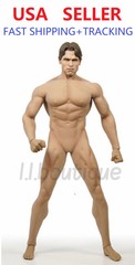 TBLeague Phicen M34 Seamless Male Muscular Body W/ Arnold Schwarzenegger head