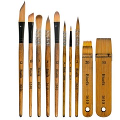 10 PCS Professional Travel Watercolor Paint Brushes Set Pointed Rounds Hake