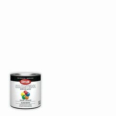 Krylon COLORmaxx Acrylic Latex Brush On Paint Gloss White 8 Fl Oz Pack of 1