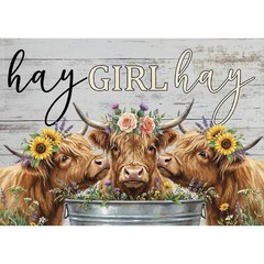 Cow Diamond Art Kits for Adults, Highland Cow Diamond Painting Kits for Adults..